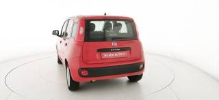 FIAT Panda usata 31
