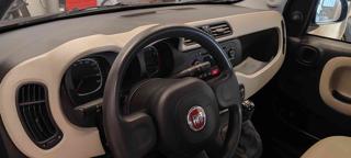 FIAT Panda usata 14