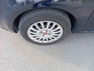FIAT Punto usata, con Servosterzo