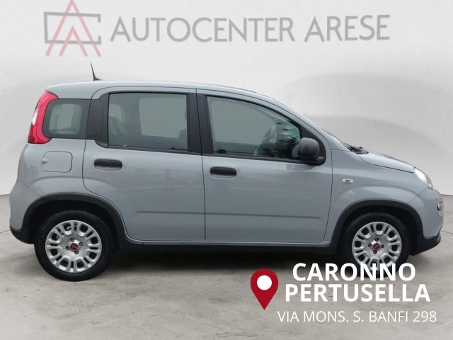 FIAT Panda usata, con Antifurto