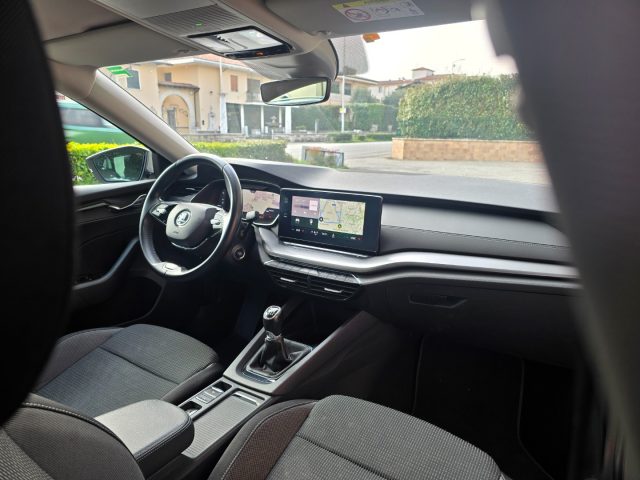 SKODA Octavia usata 103