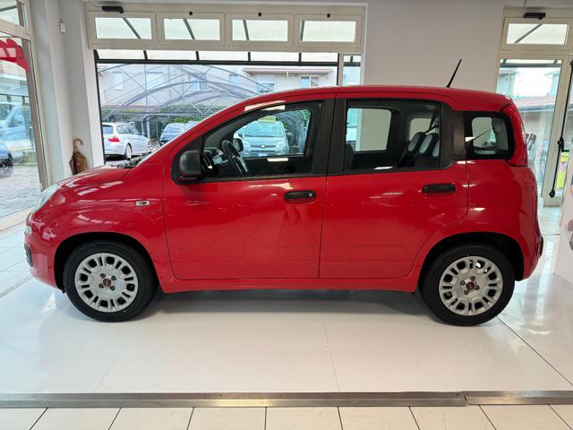 FIAT Panda usata, con Climatizzatore
