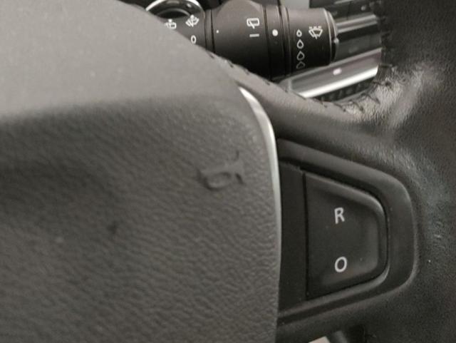RENAULT Scenic usata, con Volante in pelle