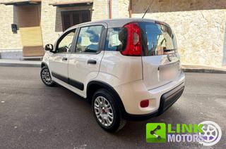 FIAT Panda usata 13