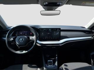 SKODA Octavia usata 11