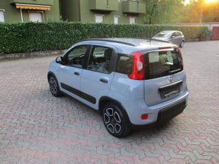 FIAT Panda usata, con Alzacristalli elettrici