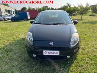 FIAT Punto usata, con ESP
