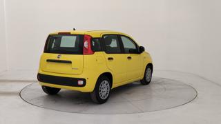 FIAT Panda usata, con Alzacristalli elettrici
