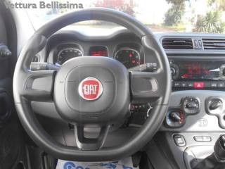 FIAT Panda usata, con Airbag testa