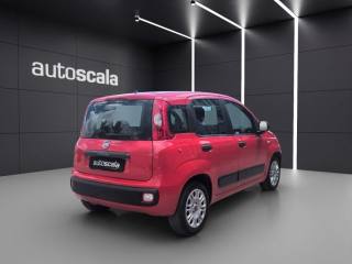 FIAT Panda usata, con Climatizzatore