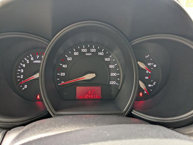 KIA Rio usata, con Servosterzo