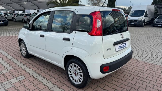 FIAT New Panda usata, con Alzacristalli elettrici