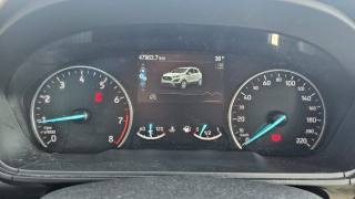 FORD EcoSport usata, con Interni in pelle