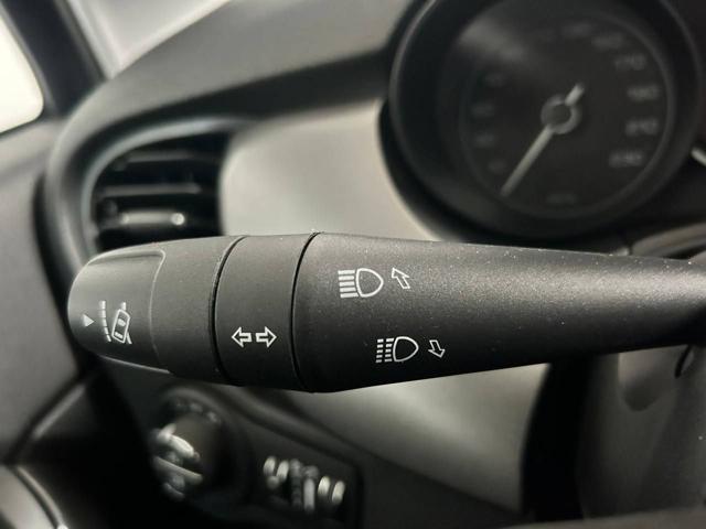 FIAT 500X usata, con Park Distance Control