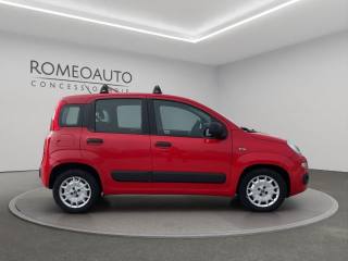 FIAT Panda usata, con Climatizzatore