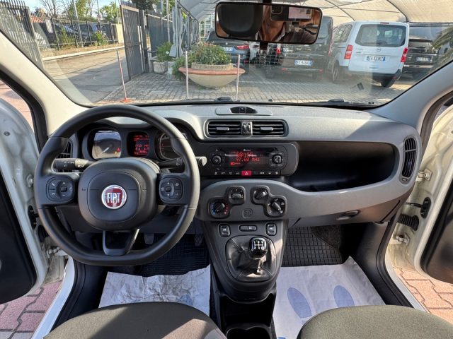 FIAT New Panda usata, con Cronologia tagliandi