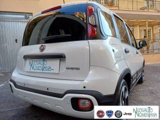 FIAT Panda usata, con Cruise Control