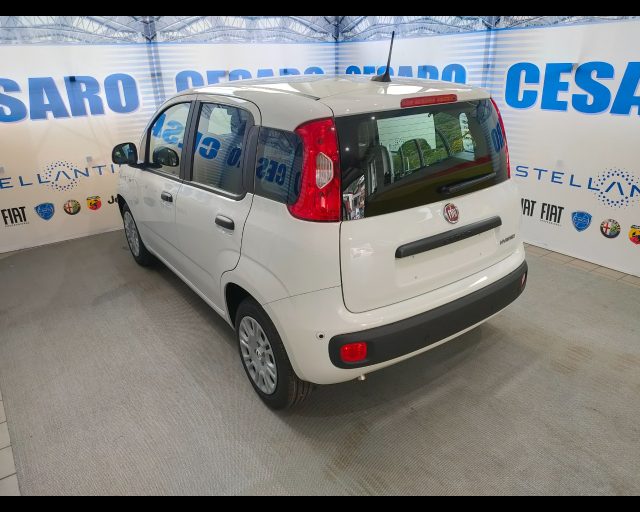FIAT Panda usata, con Alzacristalli elettrici