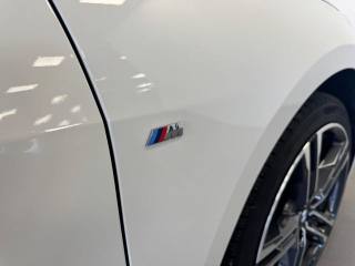 BMW 120 usata, con Bracciolo