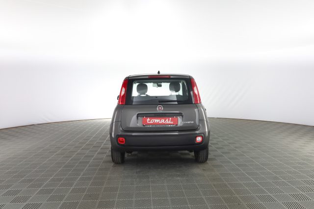 FIAT Panda usata 4