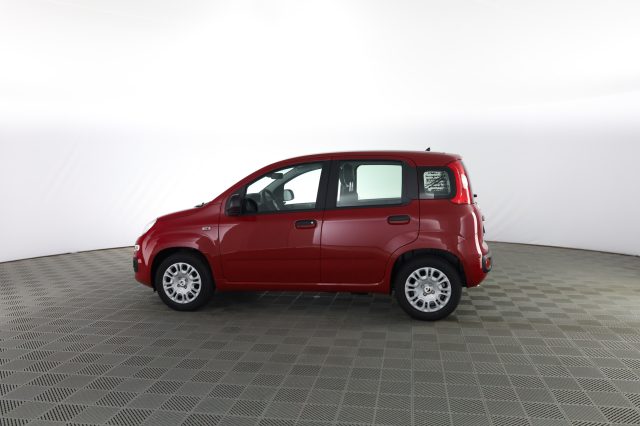 FIAT Panda usata 5