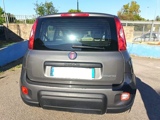 FIAT Panda usata 5