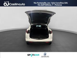 ALFA ROMEO Stelvio usata, con Trazione integrale