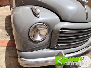 FIAT 500 usata 8