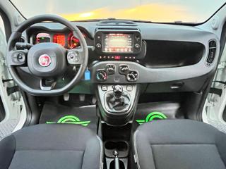 FIAT Panda Cross usata, con Airbag