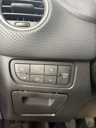 FIAT Punto Evo usata 16