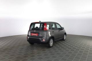 FIAT Panda usata 3