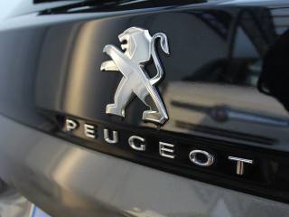 PEUGEOT 3008 usata, con Sensore di luce