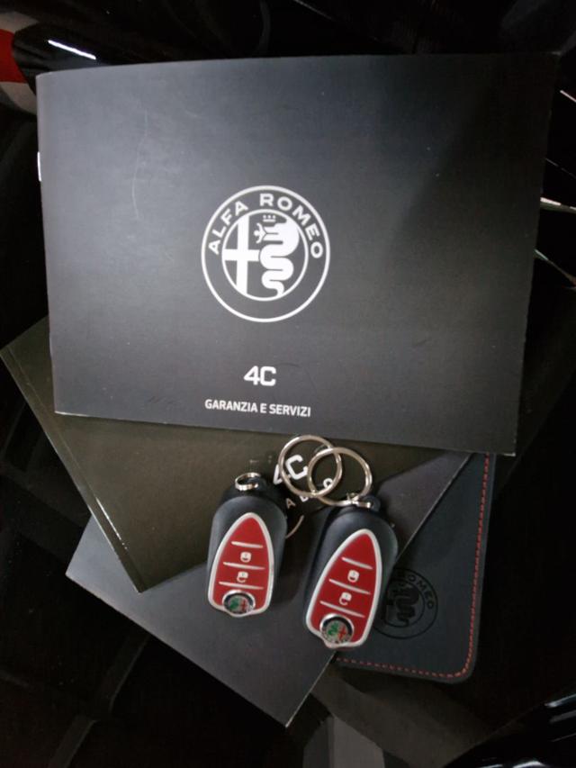 ALFA ROMEO 4C usata 36