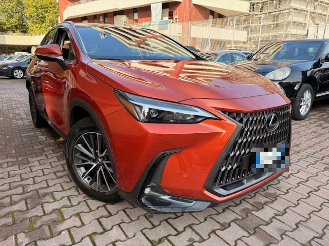 LEXUS NX 300h usata, con Airbag laterali