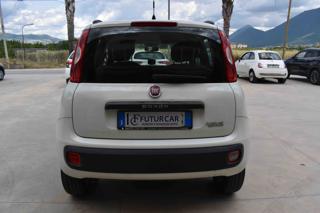 FIAT Panda usata 12
