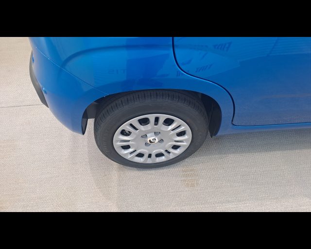 FIAT New Panda usata 16