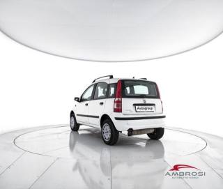 FIAT Panda usata 3