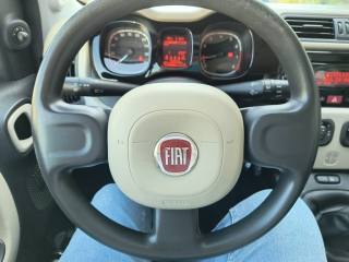 FIAT Panda Cross usata 21