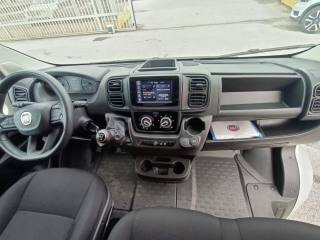 FIAT Ducato usata 9