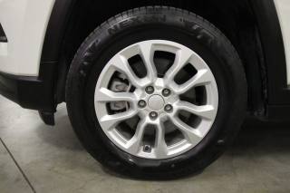 JEEP Compass usata, con Volante in pelle