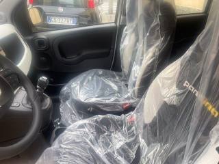 FIAT Panda usata, con Vetri oscurati