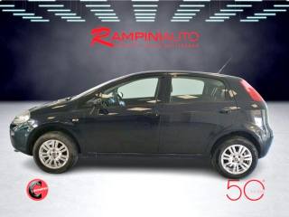 FIAT Punto usata 10