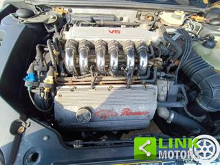 ALFA ROMEO Spider usata 14