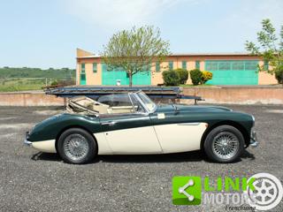 AUSTIN Healey usata 16