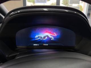 FORD Puma usata, con Fendinebbia