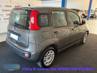 FIAT Panda usata, con Alzacristalli elettrici