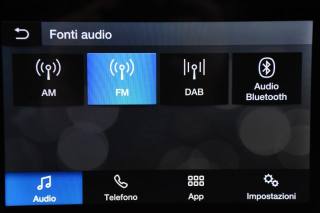 FORD EcoSport usata, con Volante in pelle