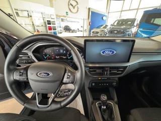 FORD Focus usata, con Cruise Control