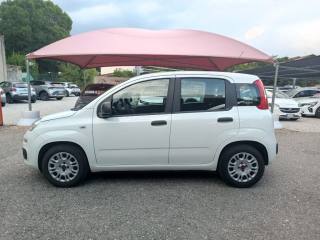 FIAT Panda usata, con Alzacristalli elettrici