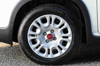 FIAT Panda usata, con Immobilizzatore elettronico